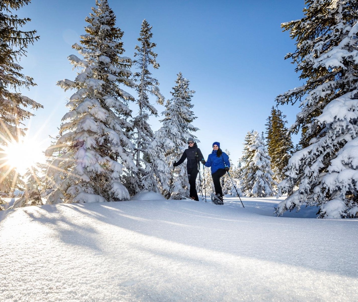Winterwandern durch den verschneiten Wald © Christian Fischbacher/TVB Filzmoos