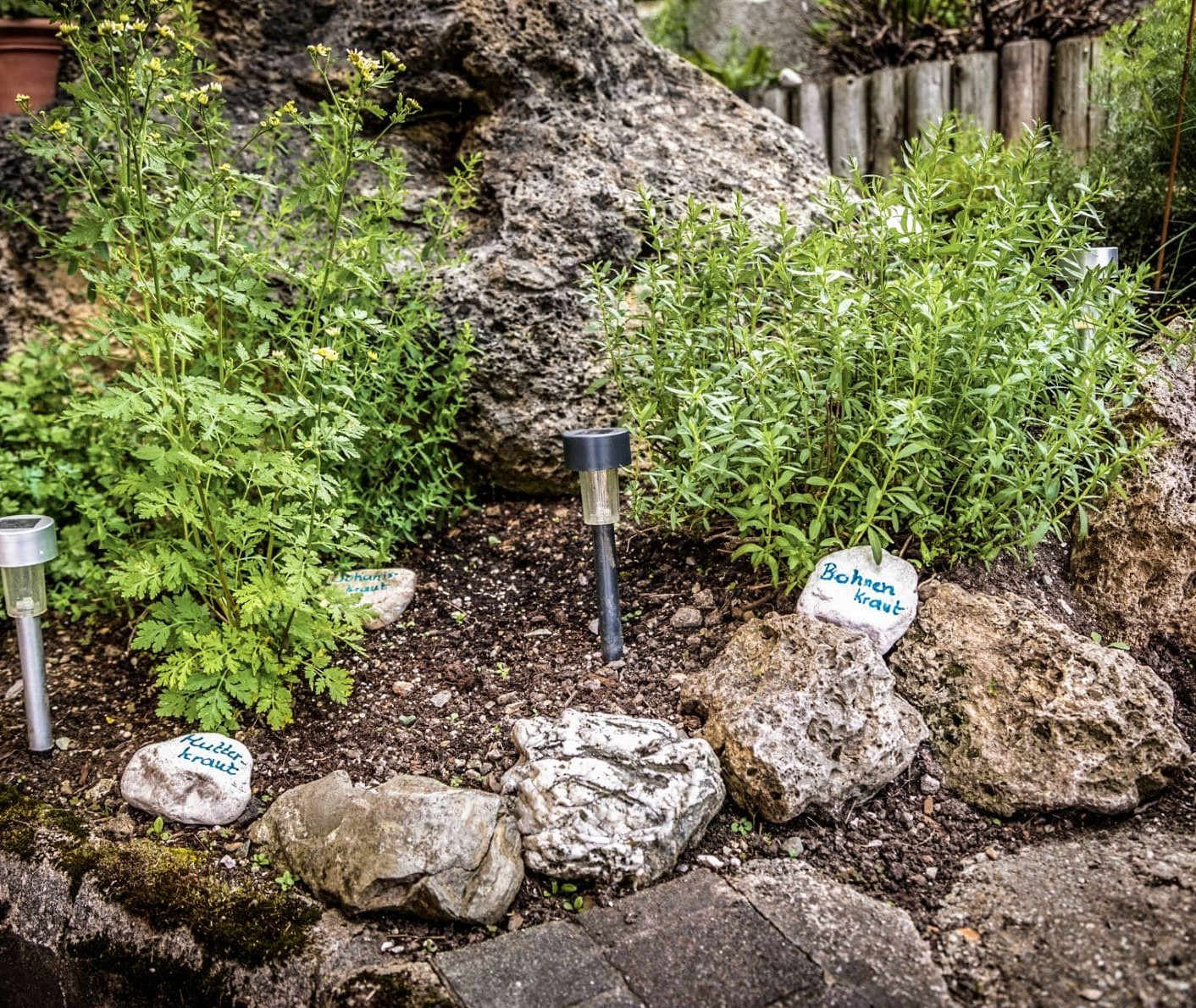 Unser Kräutergarten mit verschiedenen grünen Pflanzen © Bernd Suppan