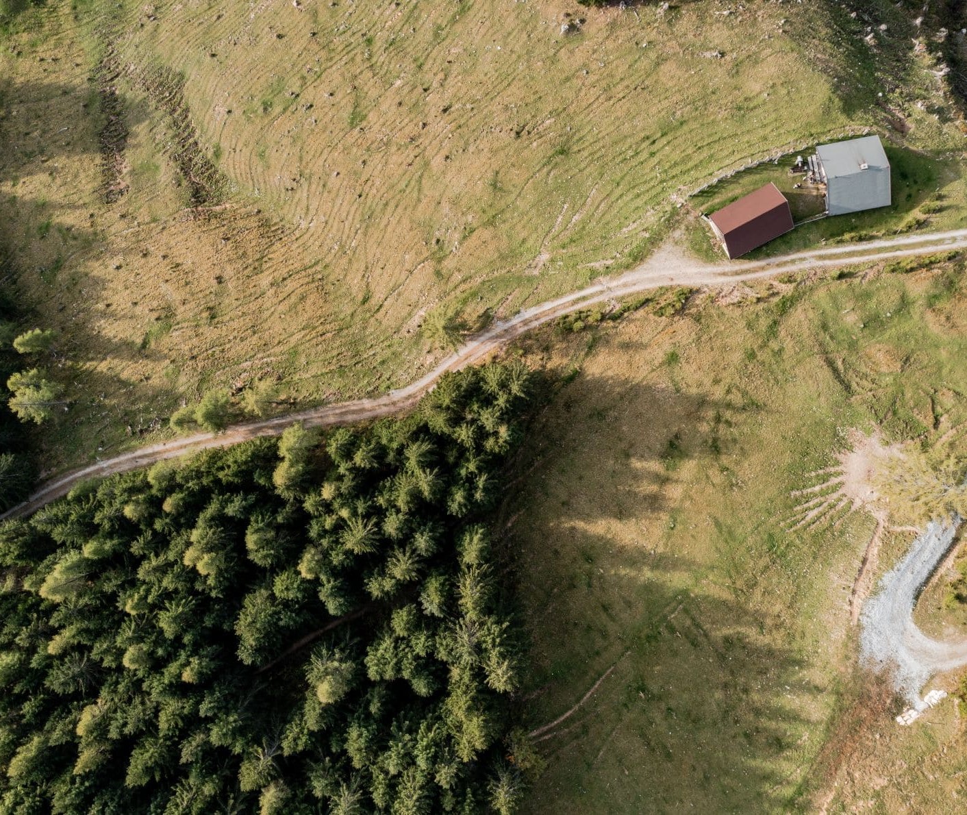 Drohnenaufnahme des Waldes um den Reithof © Matthias Fritzenwallner