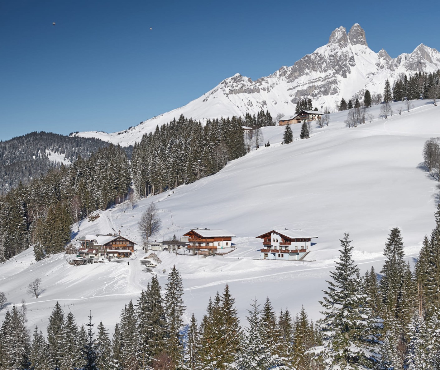 Blick auf die Ferienanlage Reithof im Winter, im Hintergrund die majestätische Bischofsmütze 