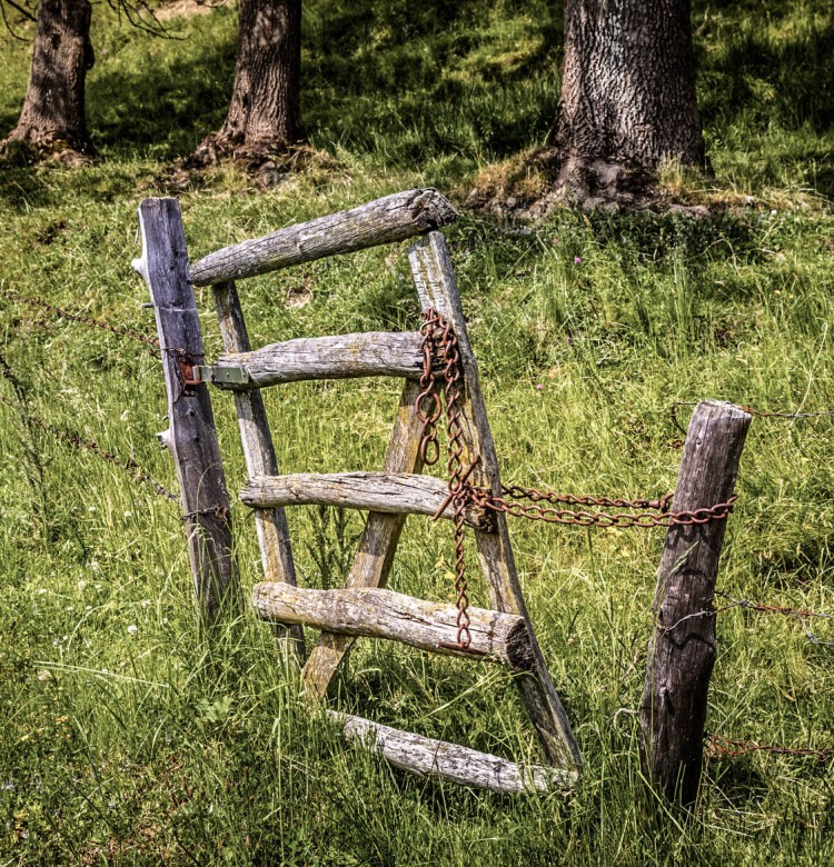 Wanderweg zum Rötelstein in Filzmoos © Bernd Suppan